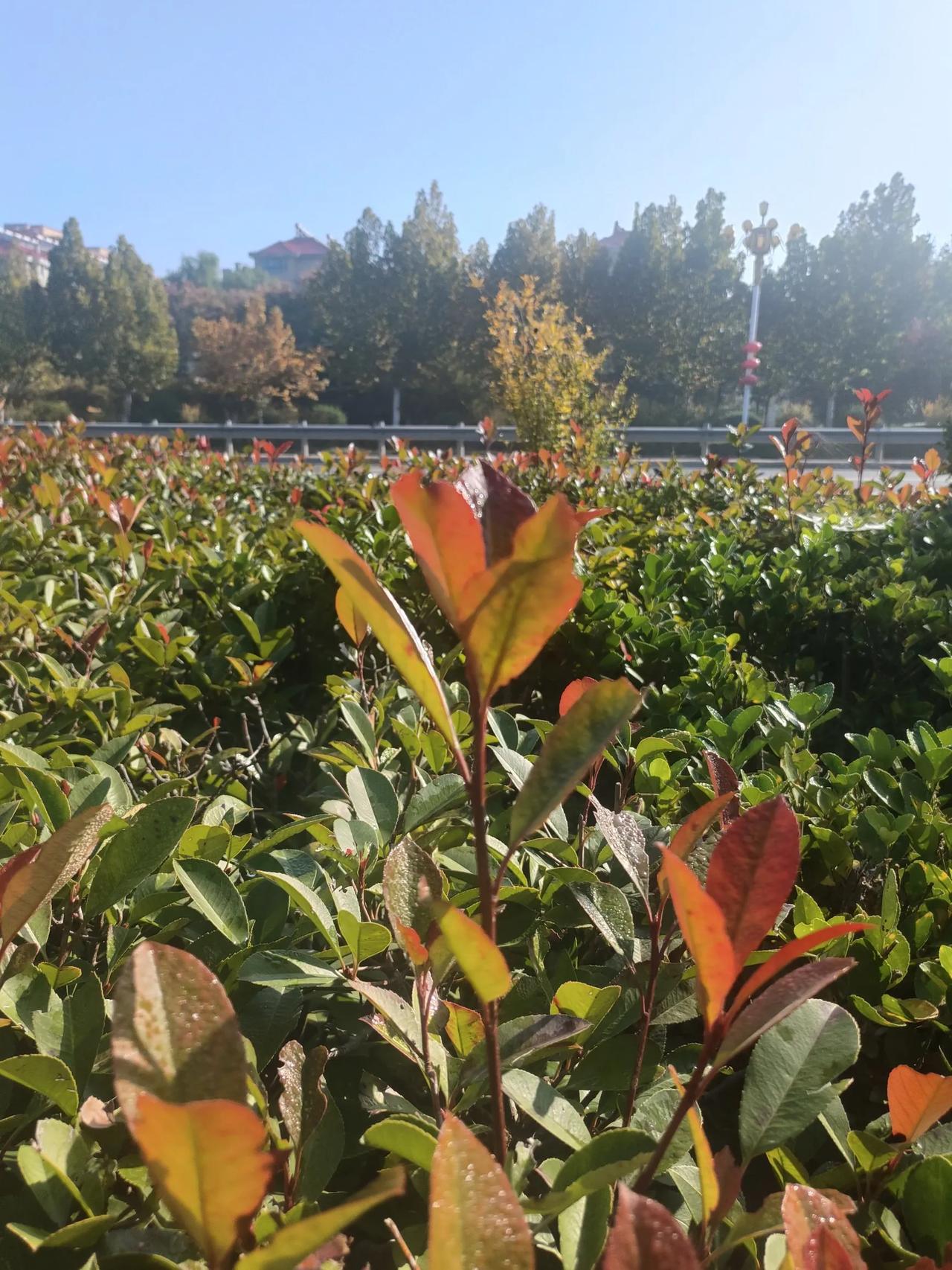 为老师减负，教育部有一点说到老师心里了。教育部最新发文为中小学老师减负出台了8