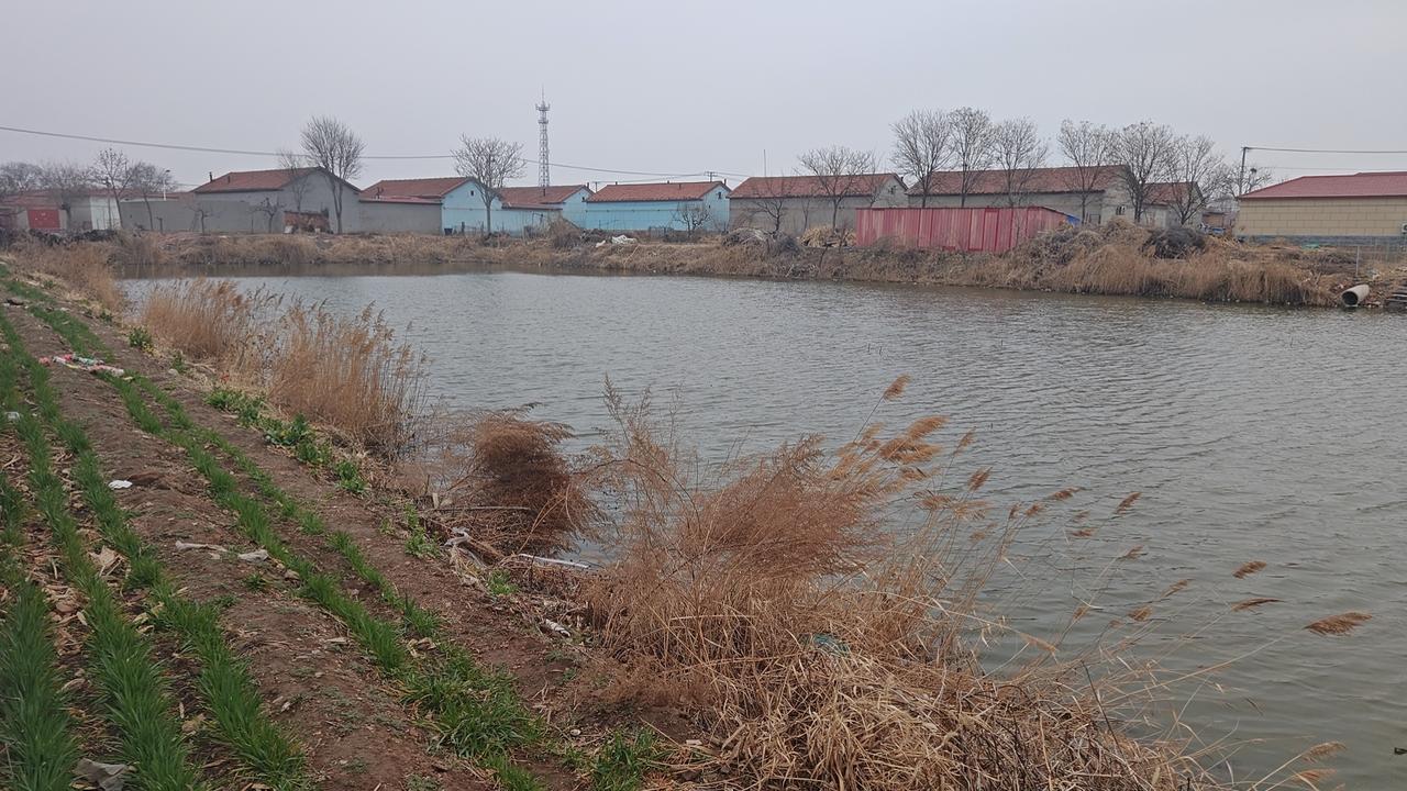 有个小区的楼道，只要狗一进单元门，狗就会叫个不停。旁边的人却什么东西也看不到。