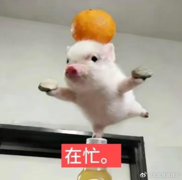 鸵鸟先生好看哎何洛洛还挺适合这种收着演的角色的他是里面颜值最高的看第一集的