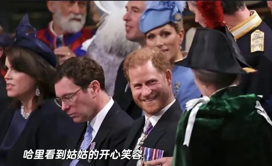 哈里如若要回归，最好的调节剂应是“安妮公主”，为何？因为除了她，其他人没有这个