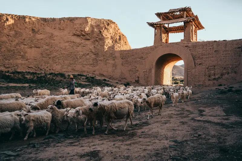 甘肃到底有多难?一提到甘肃很多人的印象里只有三个字,穷、远、土,什么甘肃只有