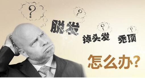 男士比女士更容易脱发, 要想更好预防脱发, 六件事要做到!