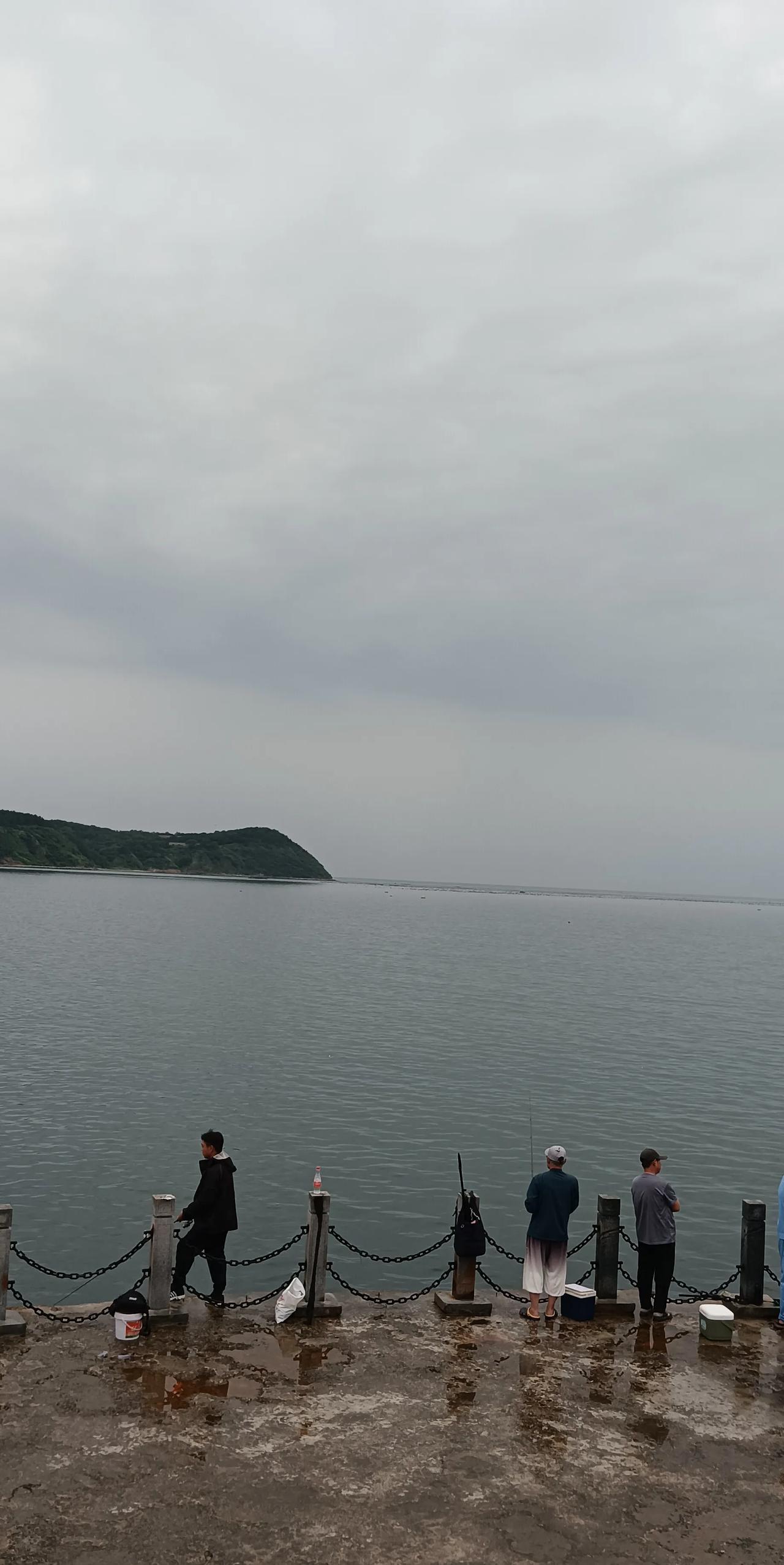 大连终于被南方人发现是一个美丽的凉爽的海滨城市。看看这几天浙江人，福建人，广东人