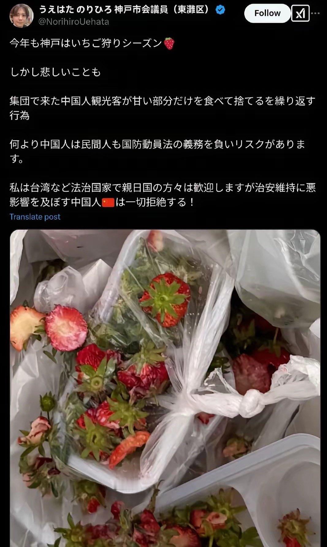日本农业大臣谈吃草莓最后吃尖尖去年，日本神户市议员抗议中国人来日本吃草莓只吃