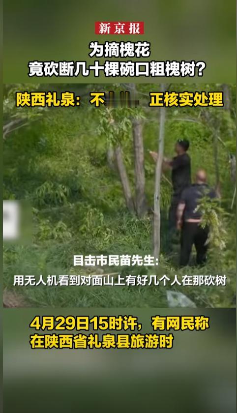 “太没素质了！”4月29日，陕西礼泉，一网友在旅游时，用无人机拍照，偶然间发现对