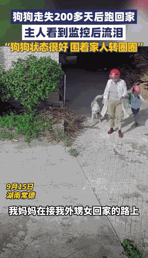 “这就是命啊！”9月15日，湖南常德，一女子接外孙女放学时，竟然在路上遇到了走丢
