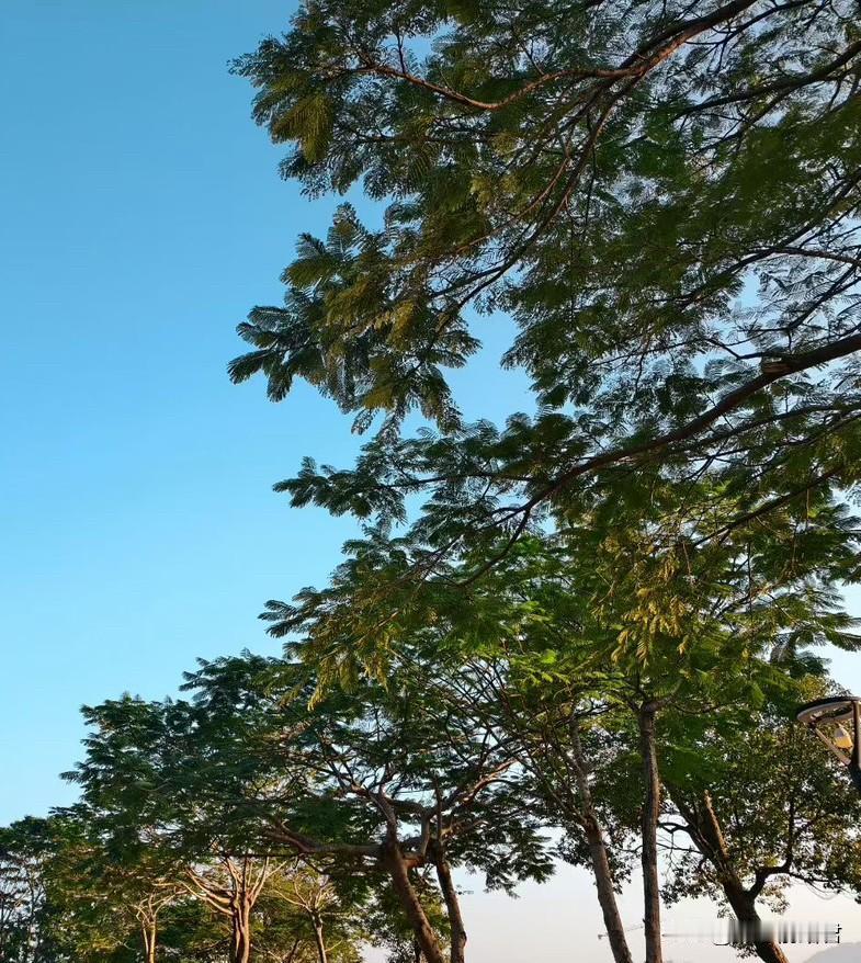 年轻的女孩子们一定要学会聪明一些，不要为了钱傻傻地丢了做人的底线。一女子35岁，