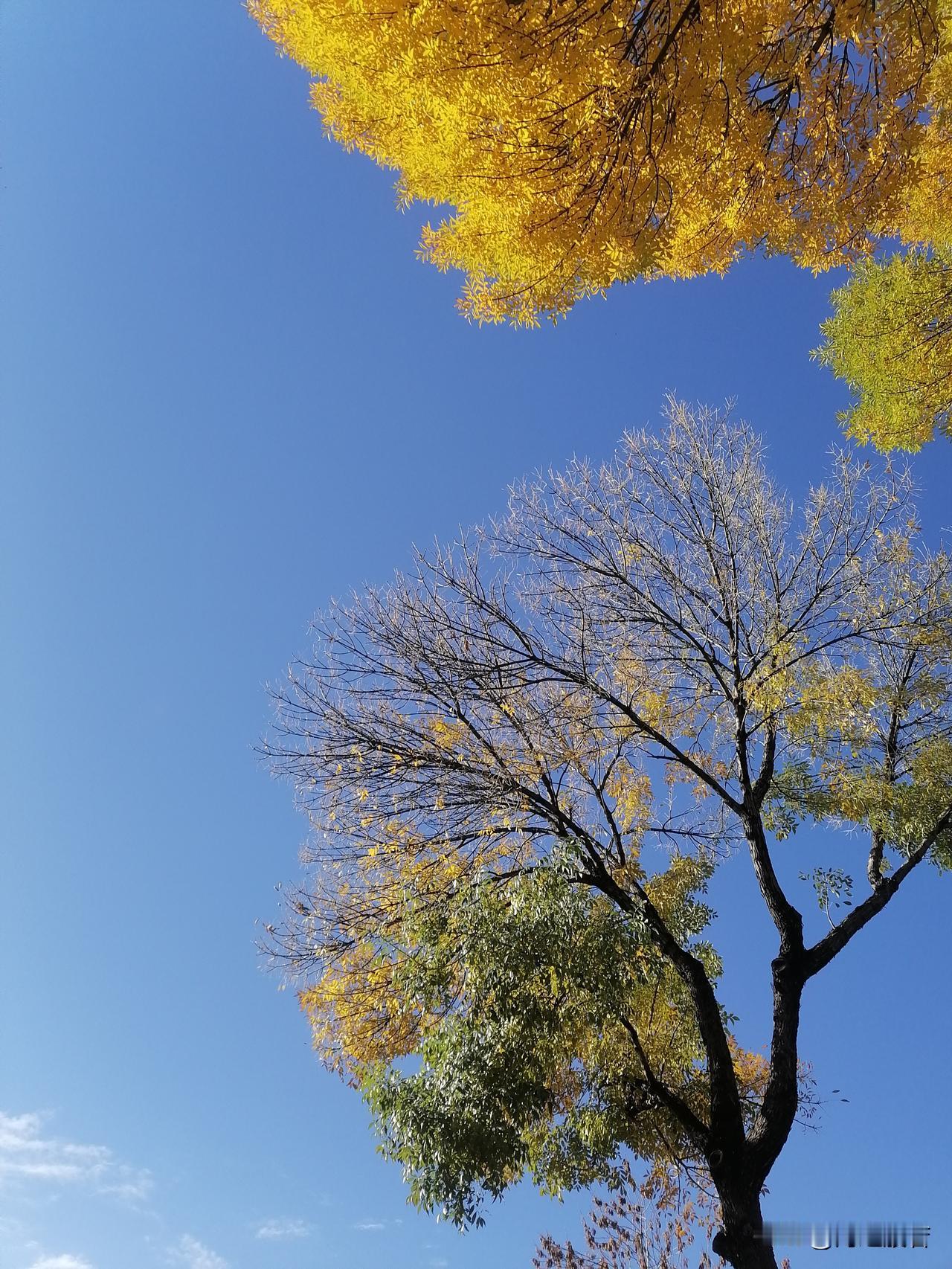 今天风大，不准备出门，在家这个小世界里享受我的独处时光。不管风往哪个方向吹，都要