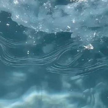 每日一善✨️阳光信用✨️每日一善行善事，是善良最直接的表达，是将内心的温暖转