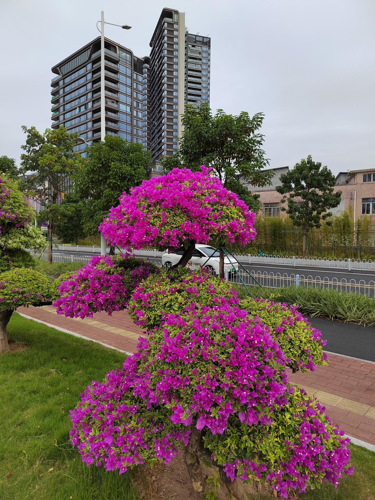 电网设备明星股也套人！32.33元满仓特变电工深套18%，5万股巨亏30万，长痛