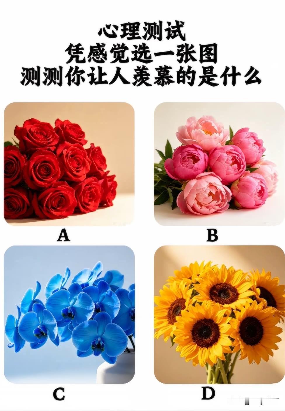 凭感觉选一张图测测你让人羡慕的是什么