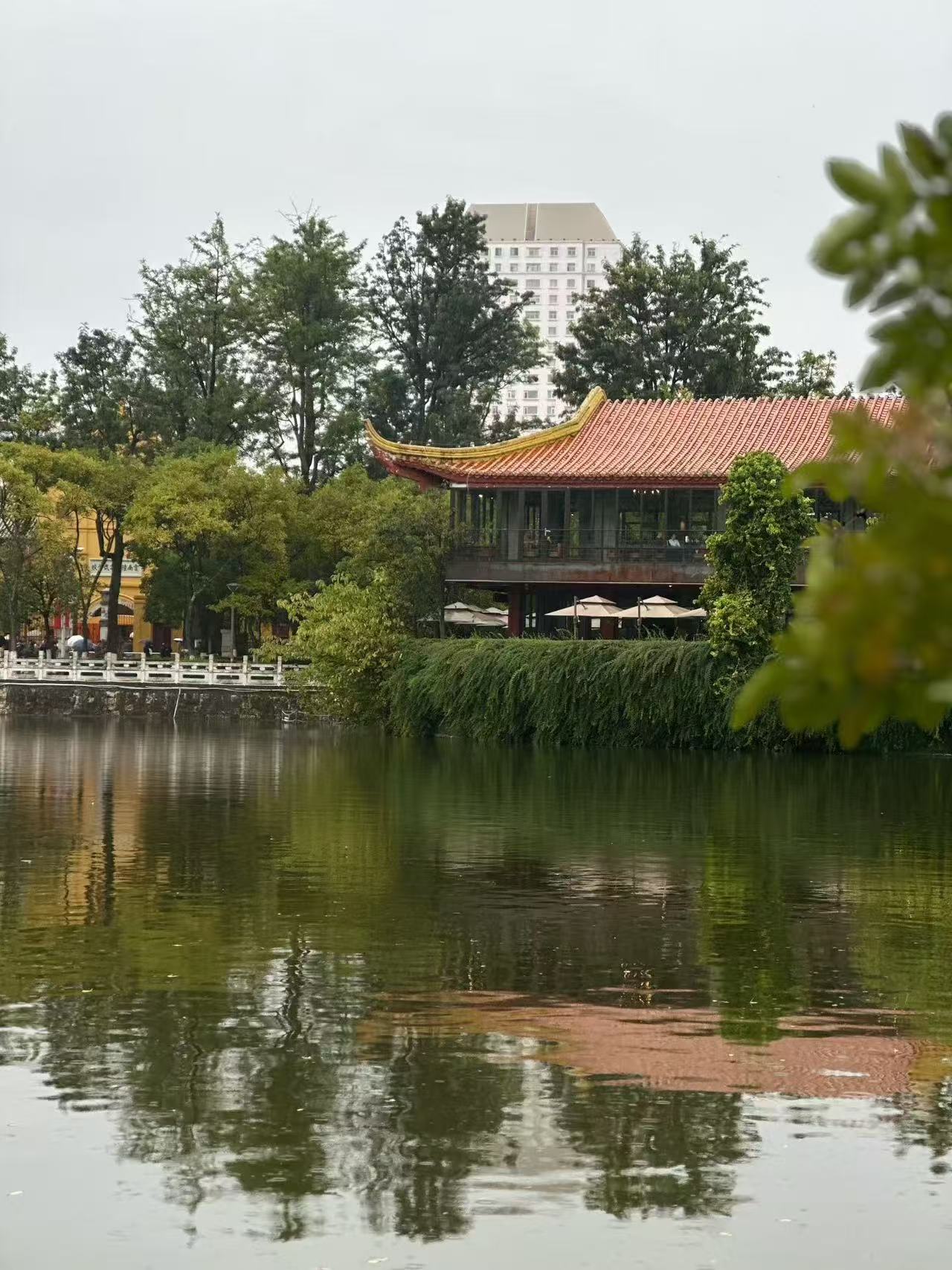 🌳云南昆明游，翠湖公园真的好好玩✨