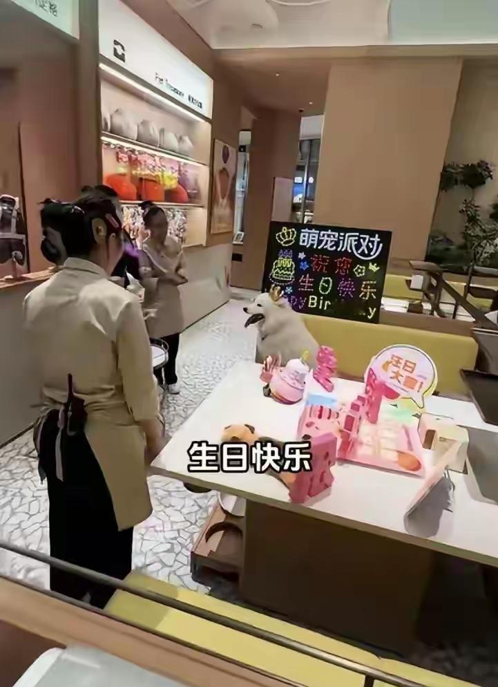 人到了中年，最大的讽刺，是活了半辈子，还不如一条狗有仪式感。昨天刷到
