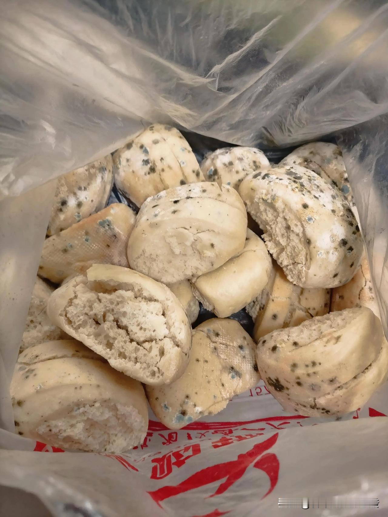 好好一大袋子馒头被我糟蹋了！本来不想带这么多馒头，可顶不住父母一直装，从老家回来