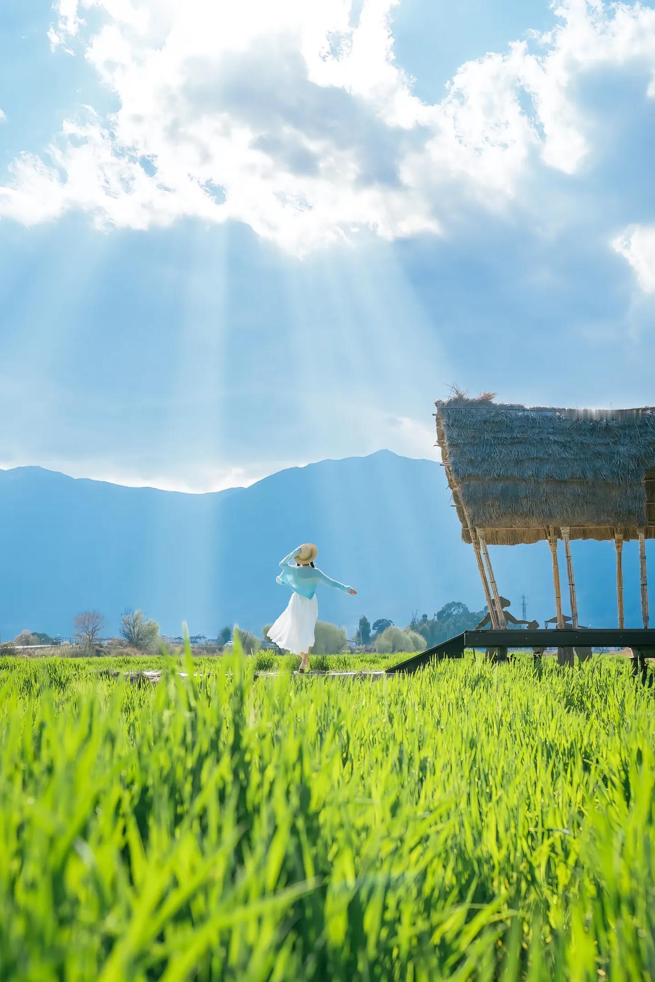 和一位初三学生的家长聊天，他家孩子马上就要进行一模考试了。南京市一般不组织全市