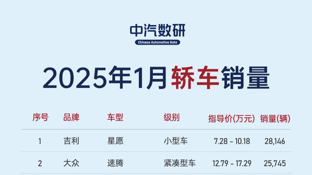 2025年1月轿车销量TOP200