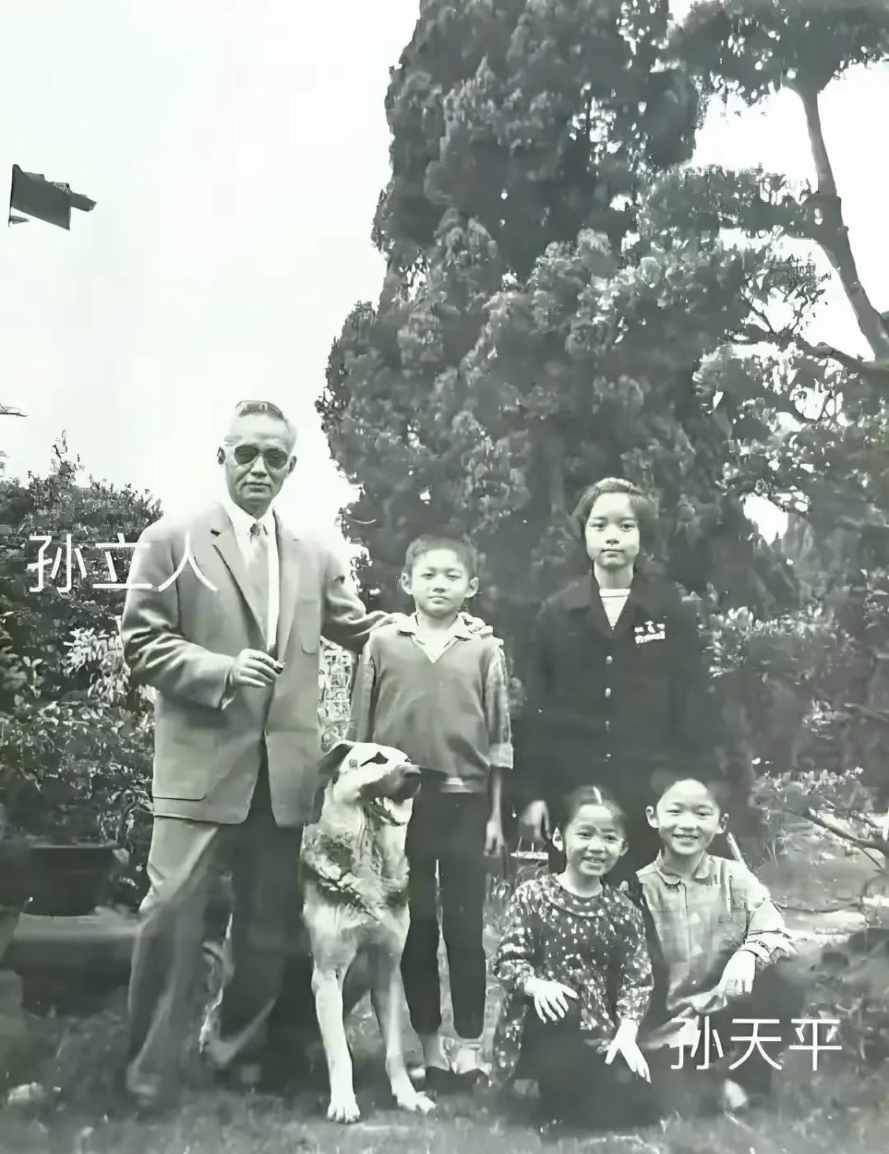 没想到当年在滇缅战场把日军打得闻风丧胆、仁安羌一战以少胜多救下7千英军的抗日名将