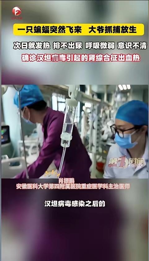 “倒霉到家了”近日，安徽巢湖，一位大爷发现家中进了只蝙蝠，他伸手就去抓，可蝙蝠直