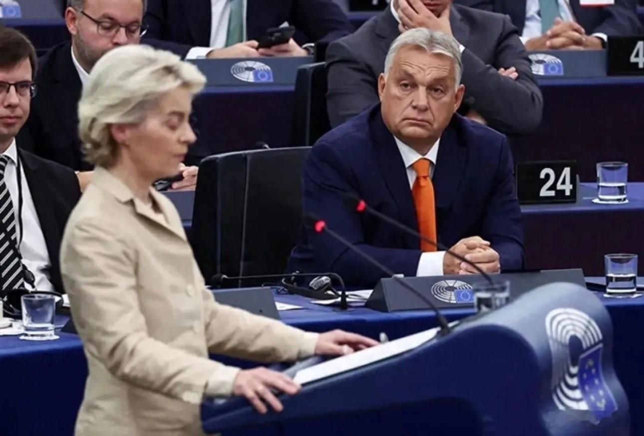 ‼️欧盟委员会主席冯德莱恩在2026年1月20日达沃斯论坛正式宣布，欧盟已决定