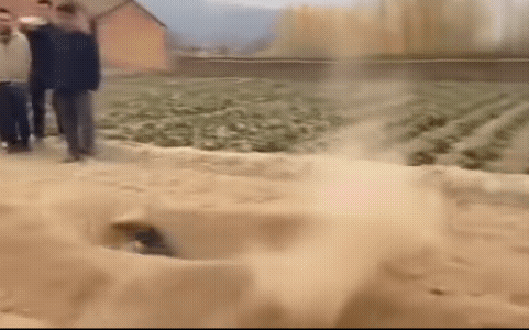 循地术，穿墙术，腾云驾雾去天宫，都可能出现在视频。自从有了AI，佛祖来了都难