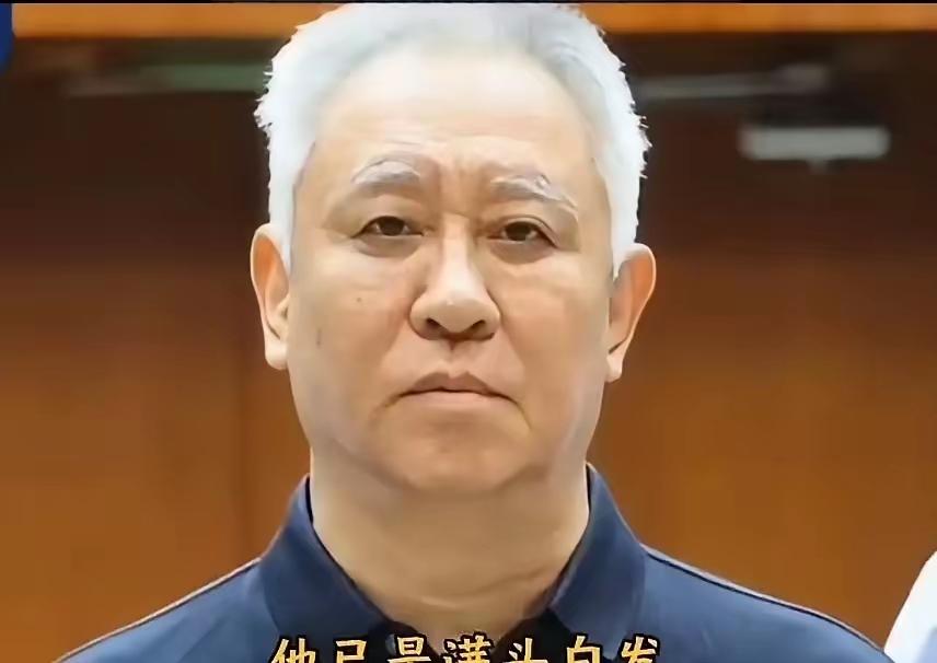 同样是财务暴雷，许氏父子的下场与万达的王氏父子和碧桂园的杨氏父女的结局却截然不同