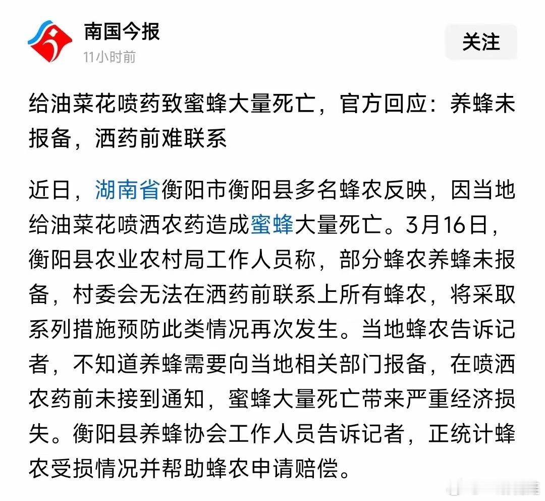 给油菜花打药，造成蜜蜂大量死亡。官方的回应来了，这个事情不是无人机打药的问题。其