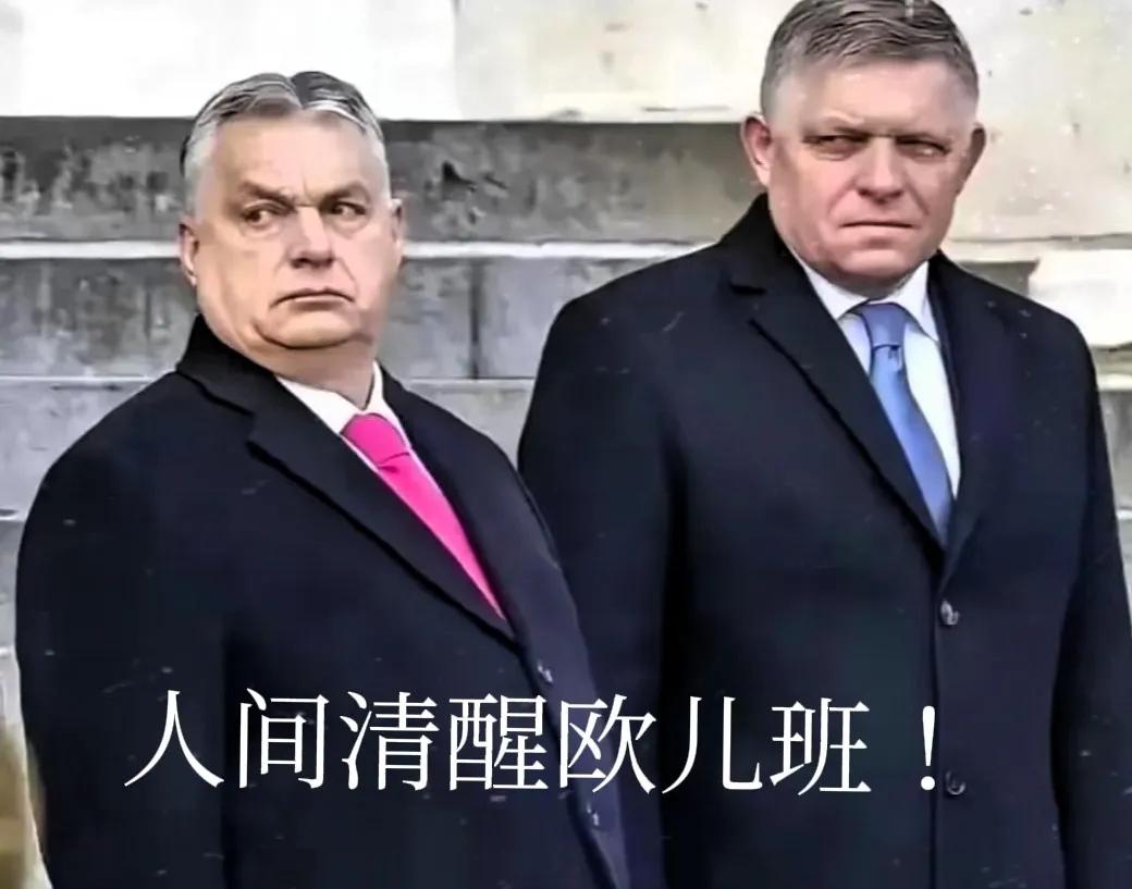欧盟一直不断的给乌克兰贷款真相，被匈牙利总理欧尔班当场揭发，真相震惊了整个世界！