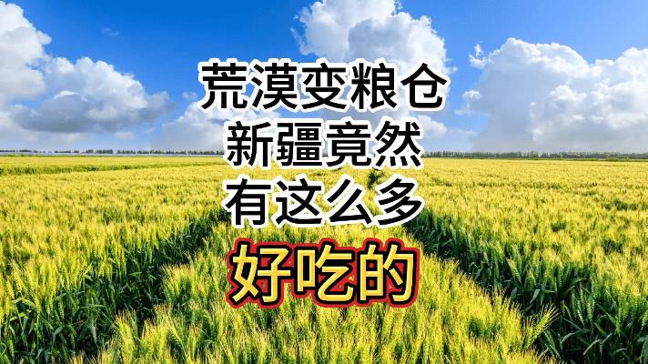 新疆荒漠变粮仓逆天改命！这波操作看哭全国人民新疆万亩荒漠变良田，智能滴灌技术让