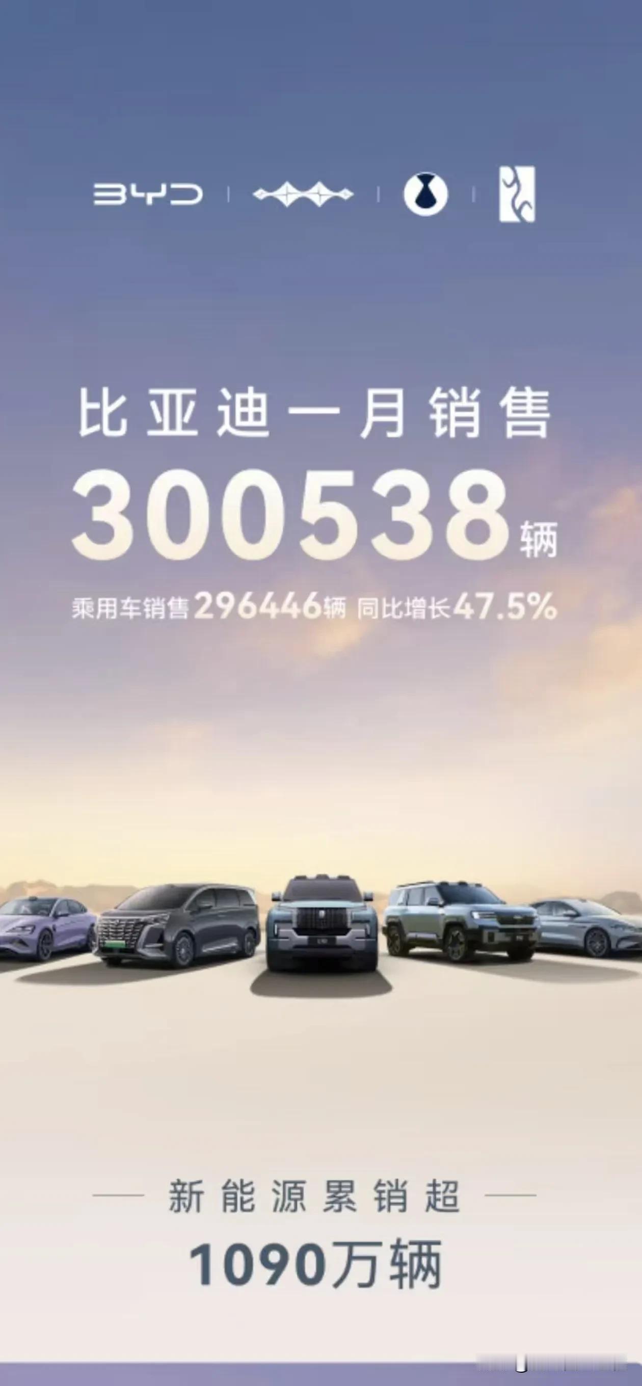 比亚迪2025年1月销量30万其中王朝海洋接近28万腾势还是一万多，算是非常