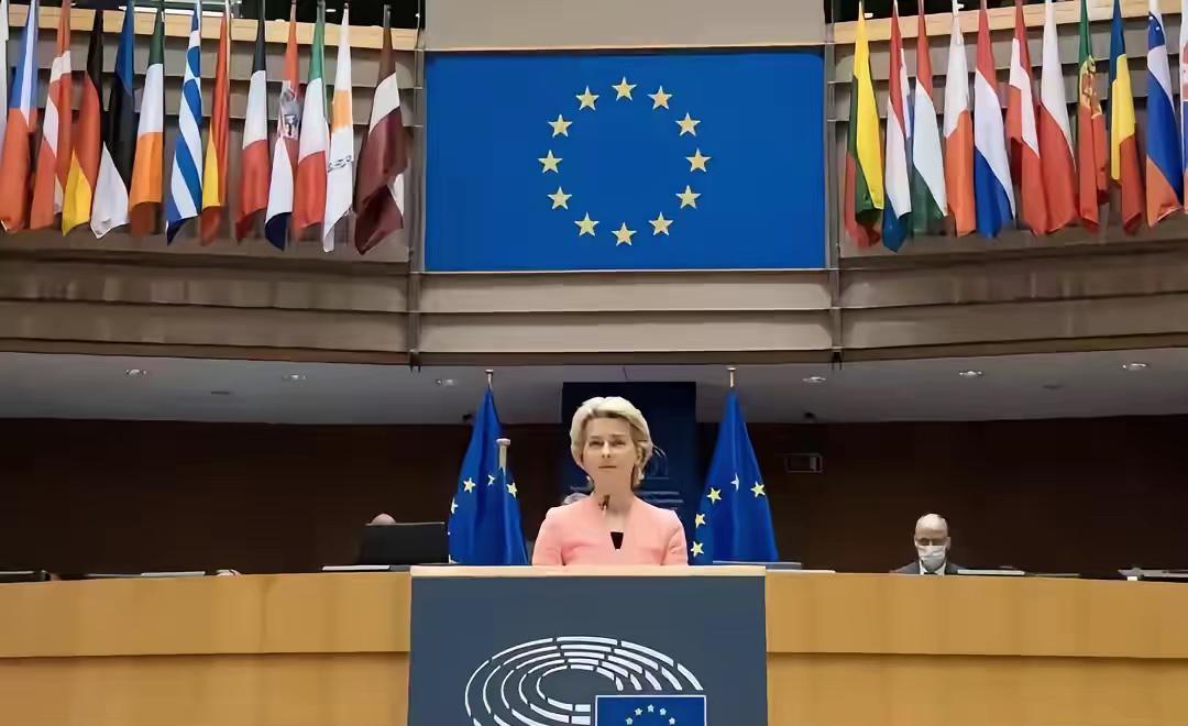 乌克兰真成弃儿了！在当地时间22日，欧盟发布联合声明，包括欧盟领导人，德法英领导