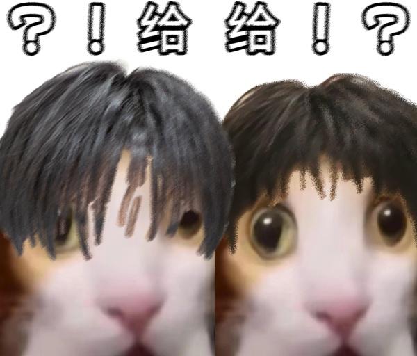 【👻】13199搞点梗图​​​