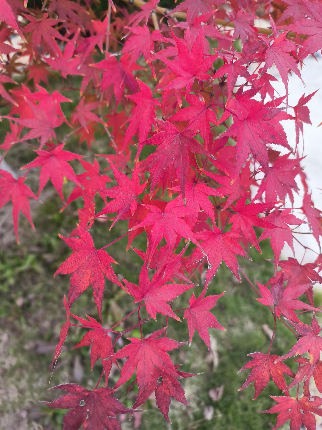 什么是差生，其实需要辩证分析。有一位中职学校的校长说，在很多普通高中，被老师