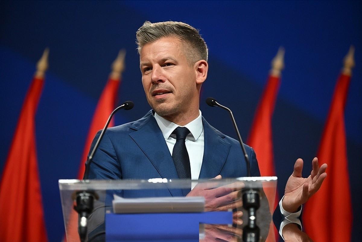 这回比亚迪可是真玩出“国际范儿”了。圈内刚传出消息，匈牙利前外交部长竟然被比亚