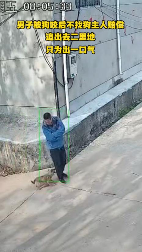 “强得可怕！”山东，一男子在村子里散步，突然被一条没有拴绳的狗咬伤了腿，男子气瞬