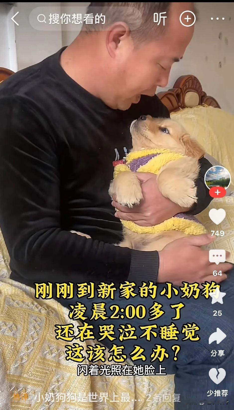 刚买的小奶狗太想念妈妈半夜还在哭闹，慈爱的主人把它抱在怀里哄它入睡。这只小狗真是