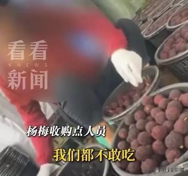 真tm寒心！中国人吃的杨梅，泡药水、加违禁防腐剂、“三无”甜味剂，想尽办法折
