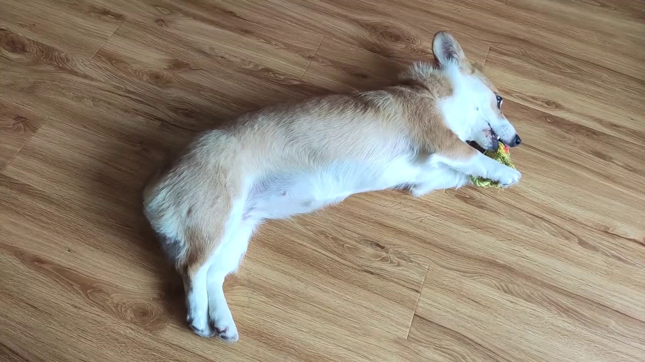 一加 Ace 3 Pro 18个月深度评测：真实体验与性能解析