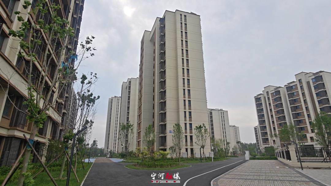 在天津打拼的年轻人，租房这件“头等大事”终于有解了！不用自己买家具，不用费心搞装