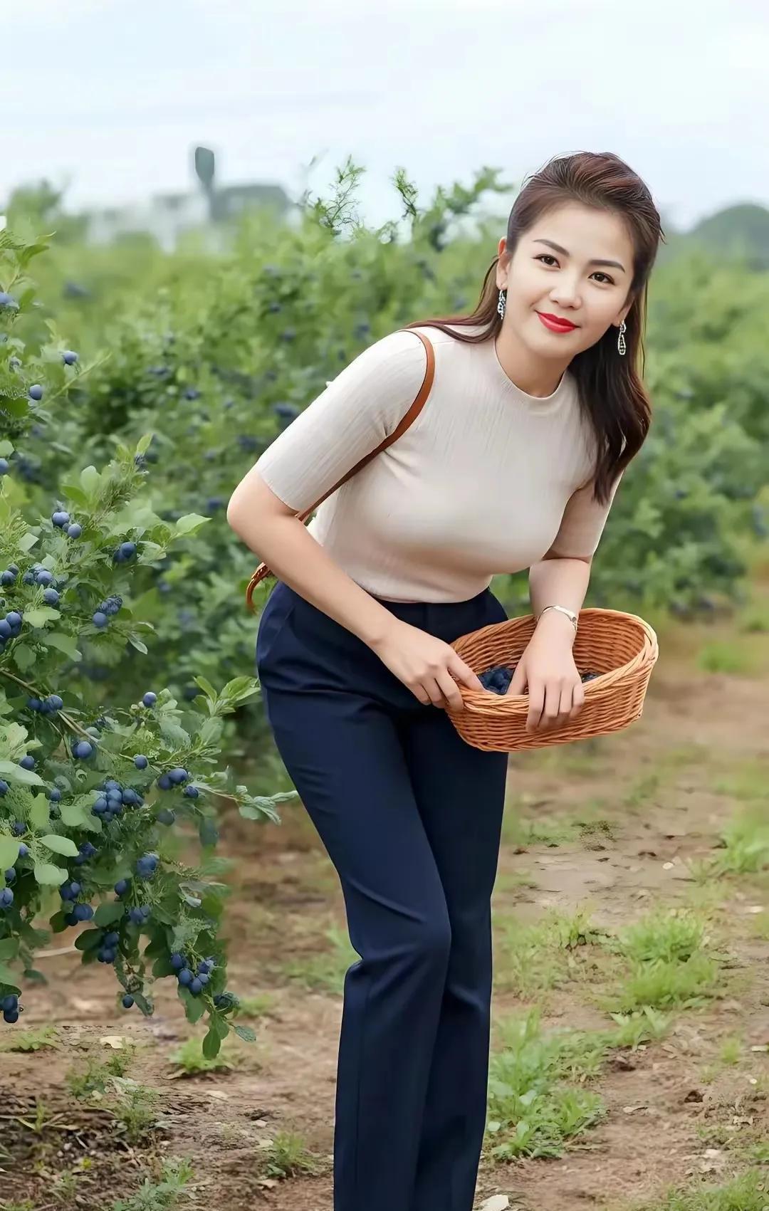 蓝莓熟了在夏日的浅吟低唱里，蓝莓熟了，那一片蓝紫的梦境，于枝叶间摇曳生姿