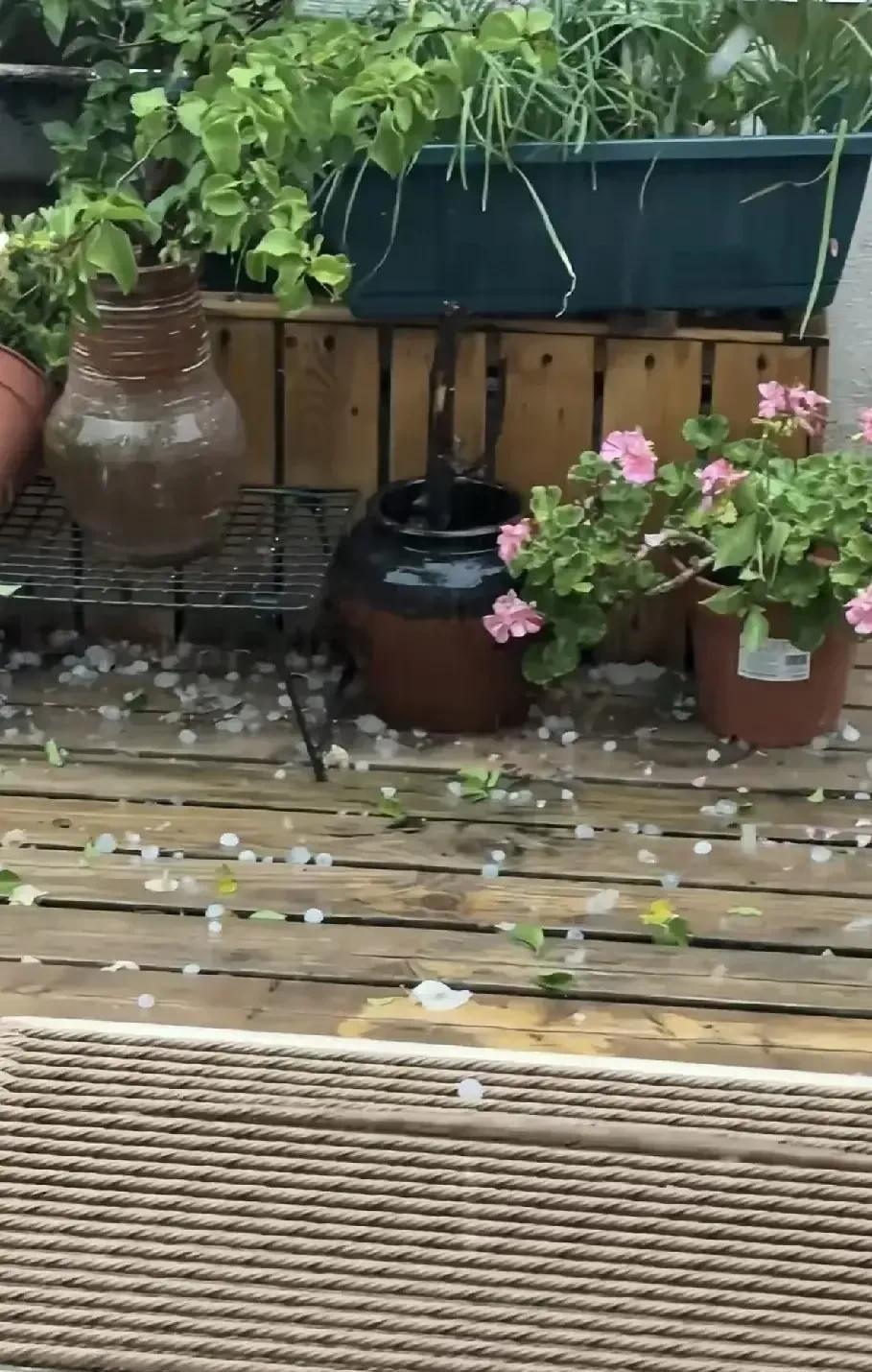 万万没想到，成都高新区下冰珠子了！不仅是电闪雷鸣，更是狂风暴雨加冰雹。成都遇强