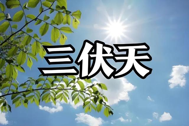 40 天超长三伏已至, 居家养生这样做! 养阳祛湿正当时