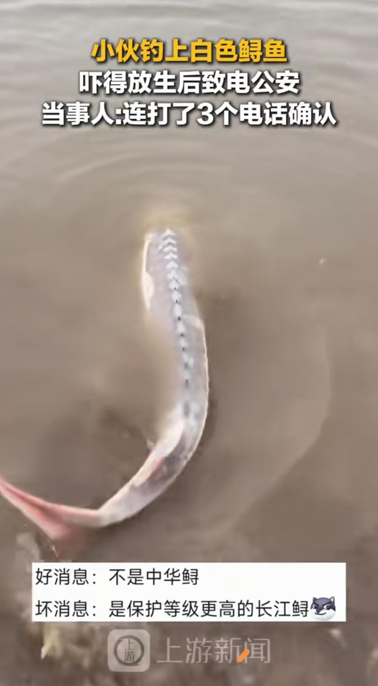 钓上“水中大熊猫”还连打3个110？这波操作才是真聪明！各位钓友们注意了！