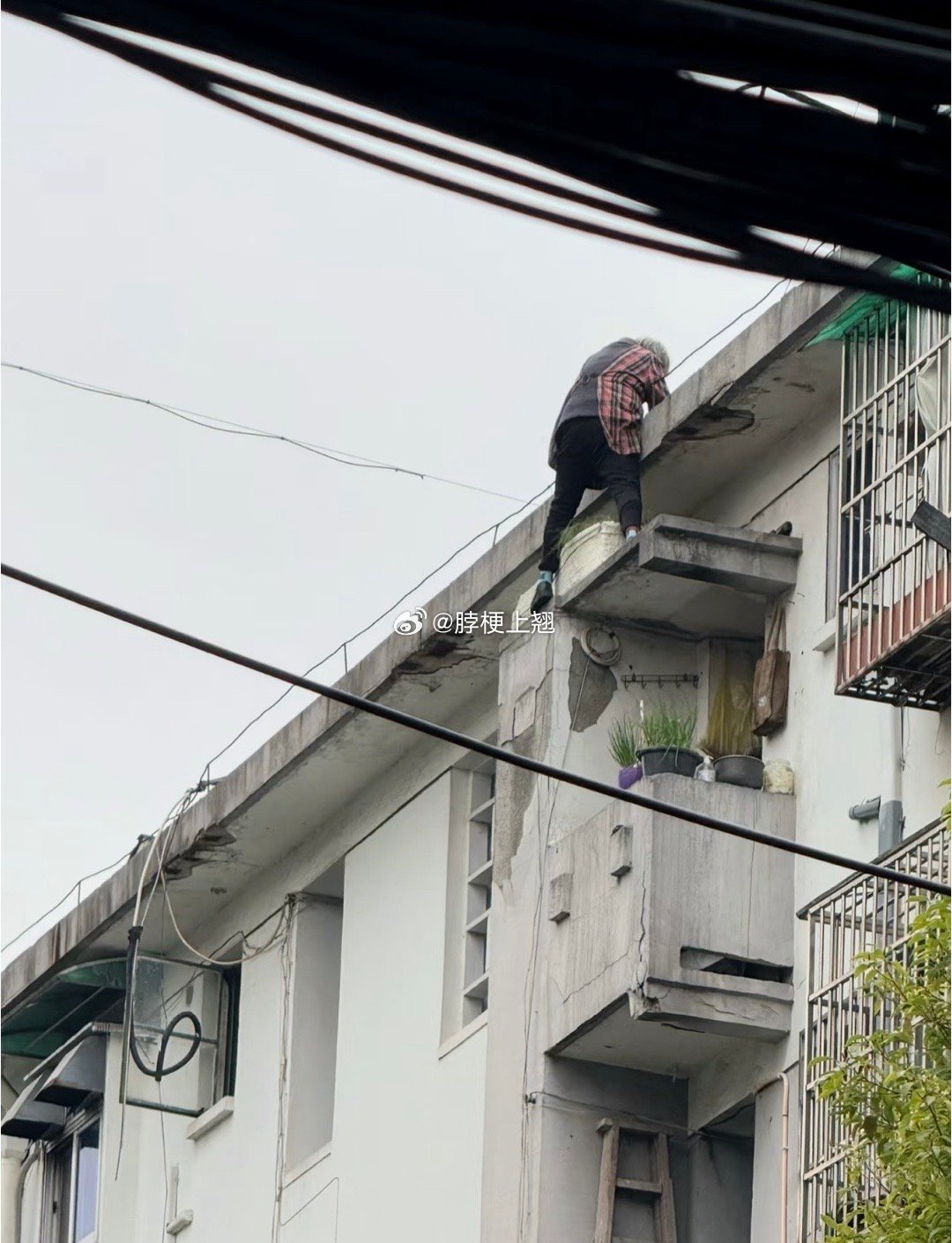 小区里看到的惊人场景，观察了下好像是在泡沫塑料箱里面种菜还是种花…