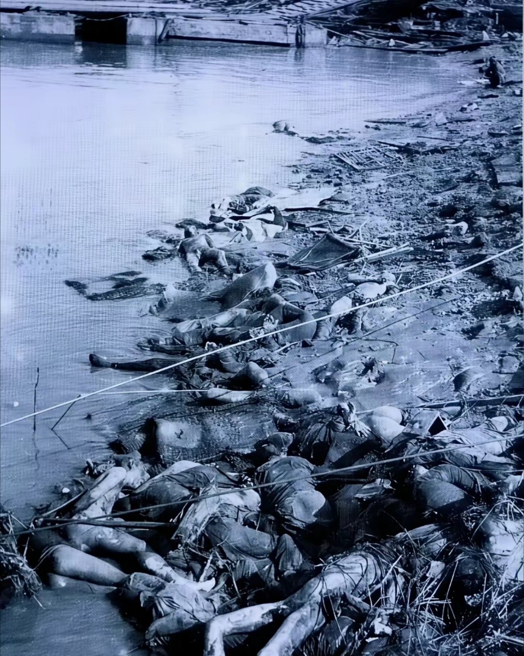 1937年，南京大屠杀，日本鬼子杀的中国人，由于尸体太多，都将长江航道堵死了铭记