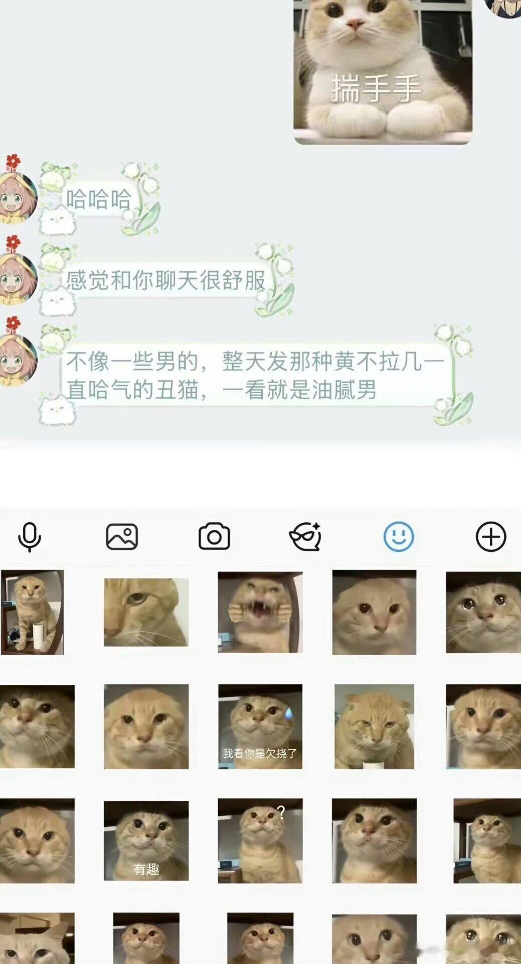 哈基米南北绿豆