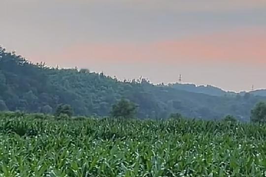 我承认我很想你，但是我还能克制。因为我知道只有你想我的时候我的想念才有意义。