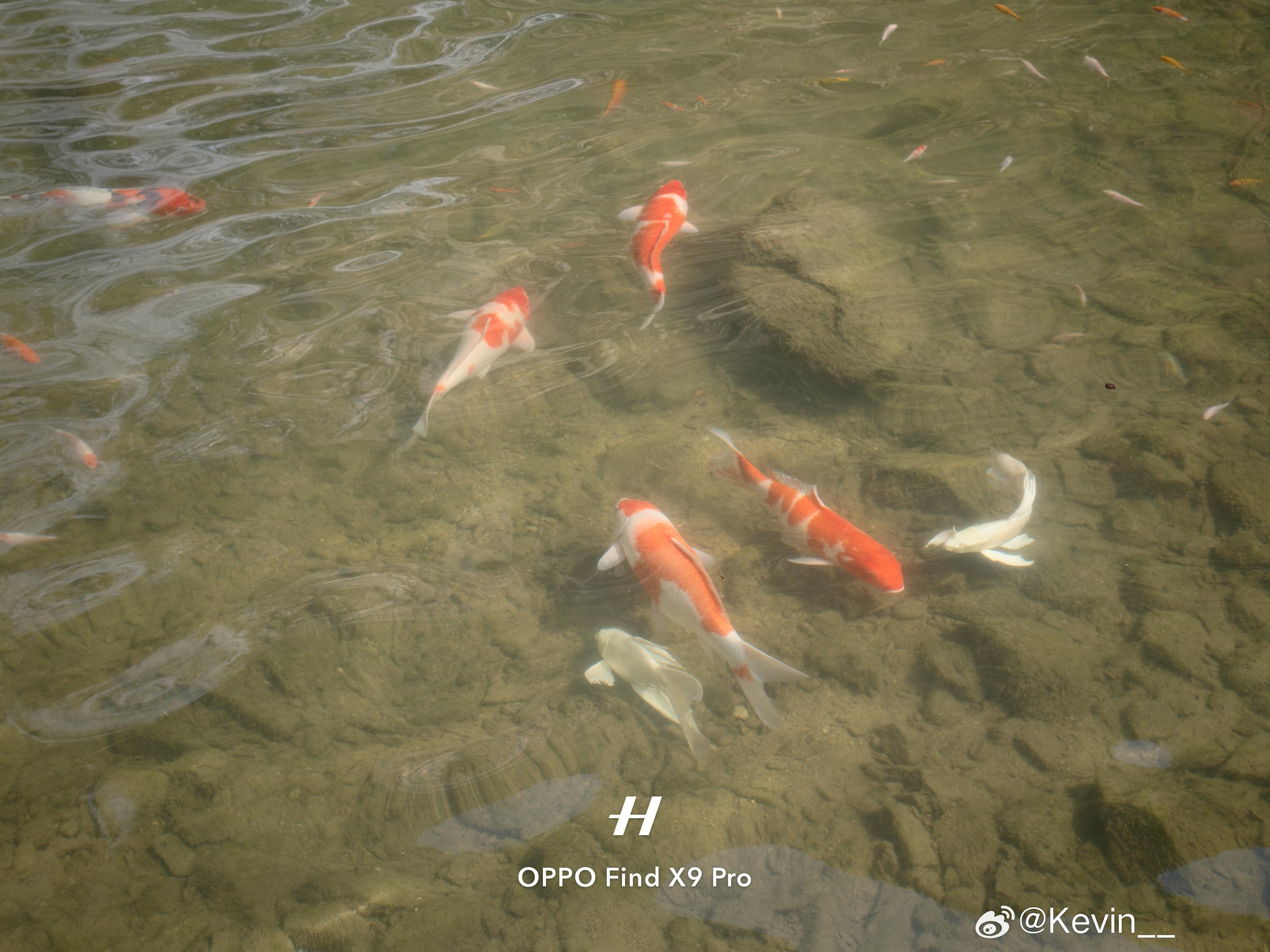 风景真不错余姚·浙东小九寨沟景区