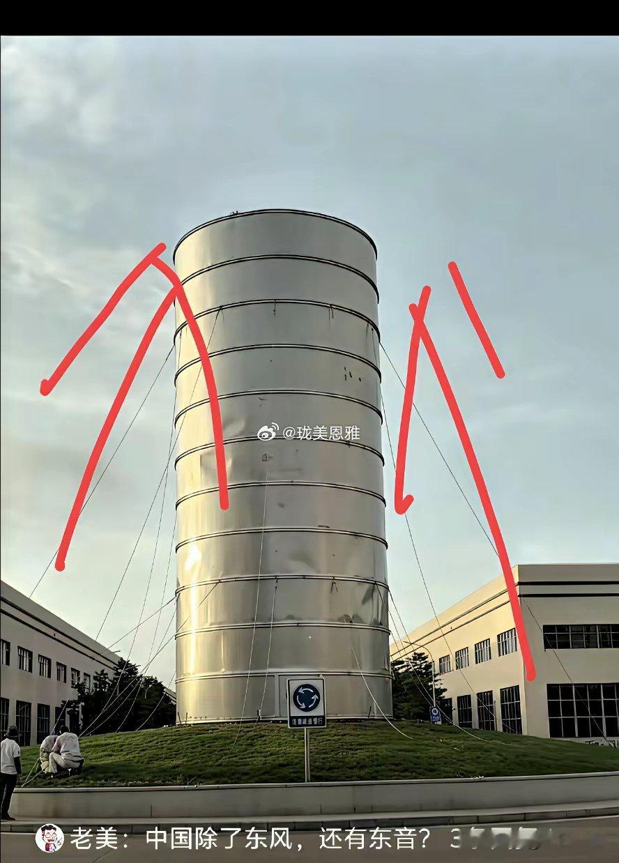 台风来袭！温岭东音泵业那棵千万级罗汉松直接焊上金属金钟罩防风观山南望湖，为名贵古