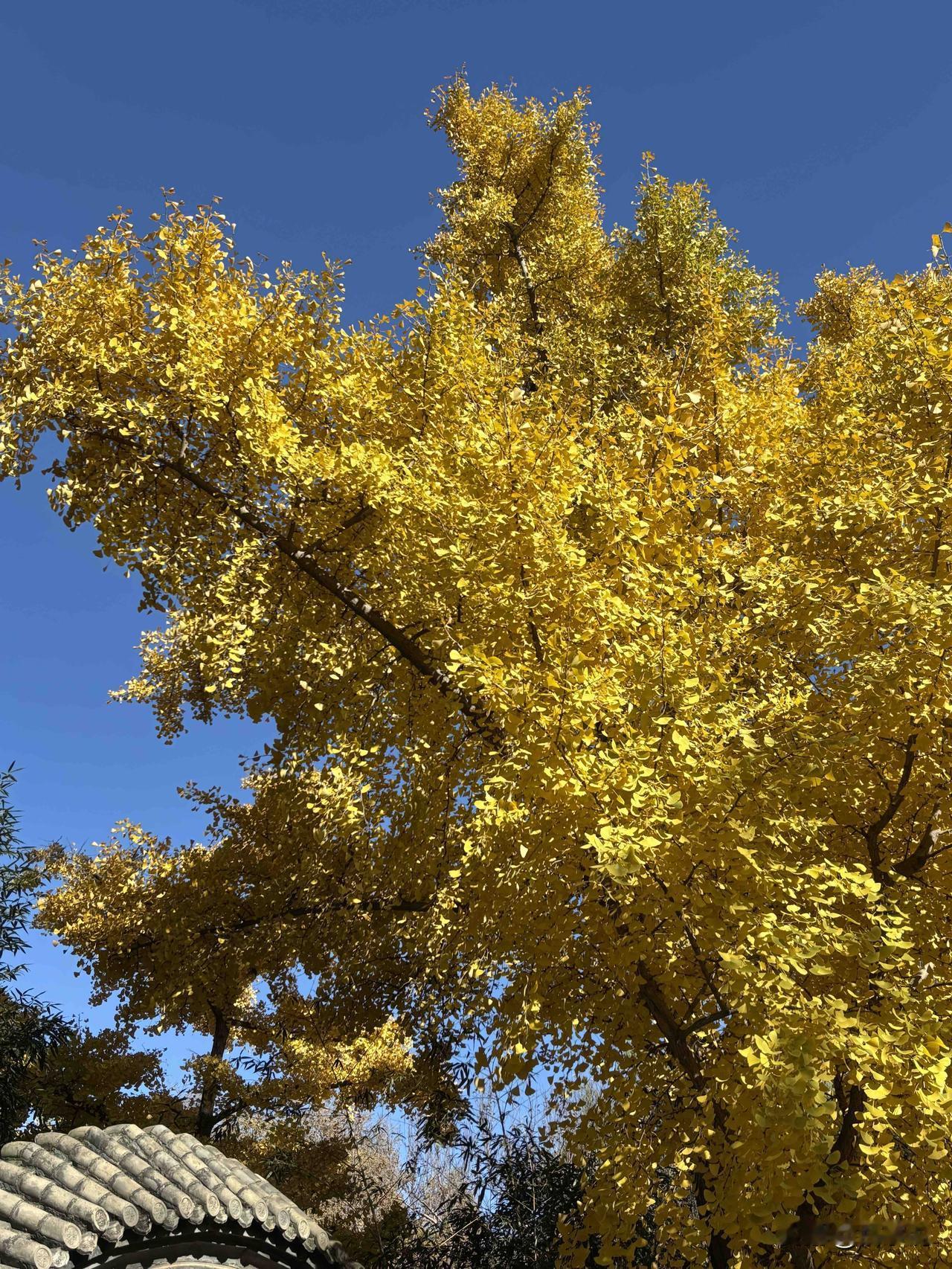 到了40+的年纪，才知道，一个人的体面，从来不是表面的光鲜亮丽，而是顺境逆境