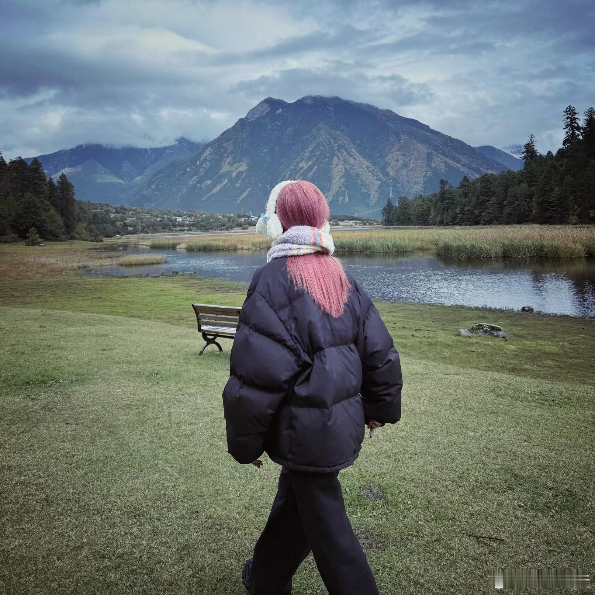 白鹿𝙒𝙚𝘾𝙝𝙖𝙩头像｜白鹿白鹿｜